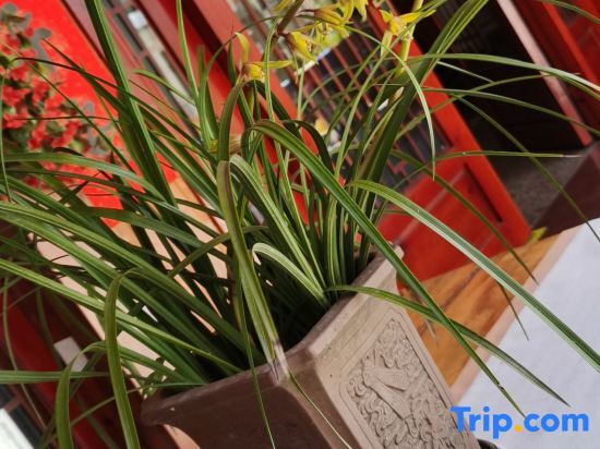 Ханчжоу: Wangshui Lushan Homestay