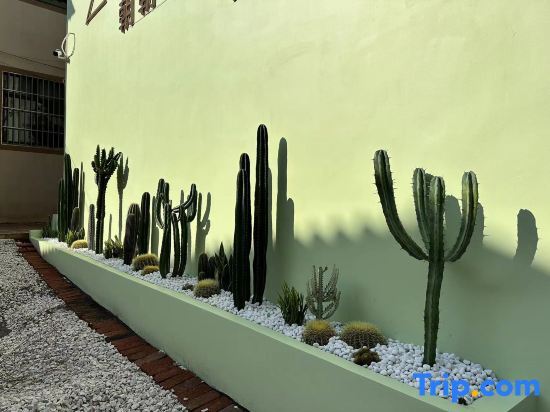 Миян: Chaochao Mumu Meisu (Huquan Ecological Park Branch)