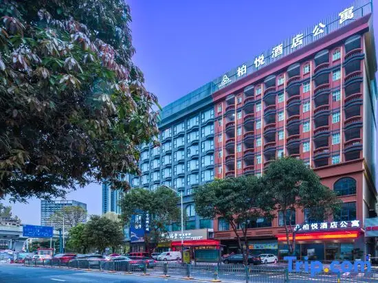 Шэньчжэнь: Park Hyatt Hotel Apartment (Shenzhen Longcheng Square Metro Station)
