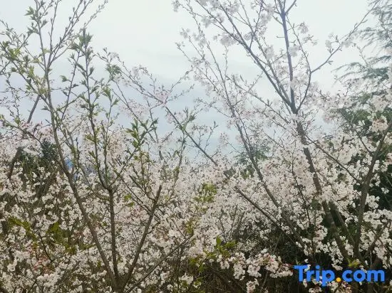 Вэньчжоу: Sweetome Vacation Rentals (Wencheng Tianding Lake)