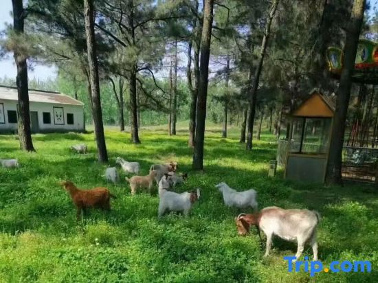 Нанкин: Yinlin Villa Resort