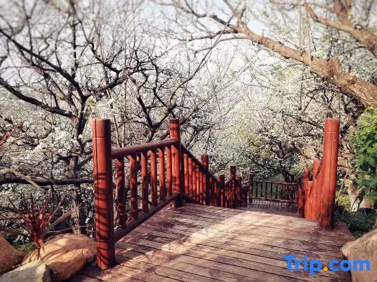 Куньмин: Gudian Banshan Hot Spring Hotel