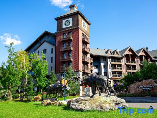 Vanke Songhua Lake Qingshan Snow Hotel — фото 1