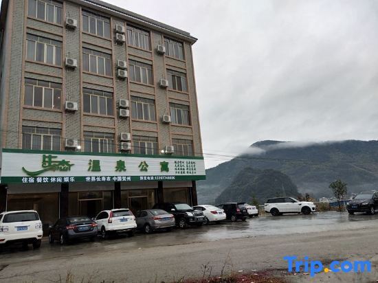 Eco Hot Spring Apartment — фото 1