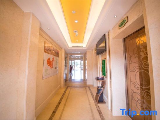 Vienna International Hotel (Yongzhou Junyue Huacheng) — фото 1