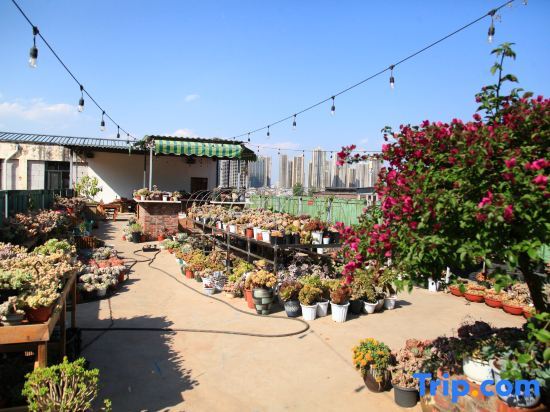Куньмин: Chunyu Qiyuan International Youth Hostel