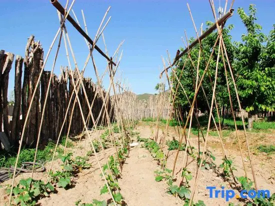 Пекин: Beijing Badaling Lipao Gardening Town B&B Resort