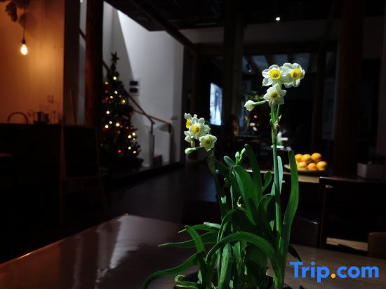 Ханчжоу: Tonglu Ru shi zhu homestay