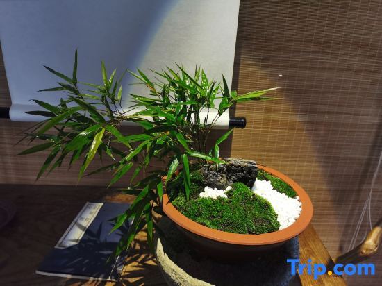 Ханчжоу: Tonglu Ru shi zhu homestay
