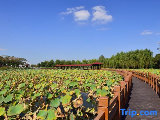 Dianshan Lake Liuxia Shiguang Homestay（Cai Bang Cun Store ） — фото 1