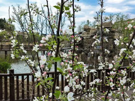 Guoxin Nanshan Hot Spring Holiday Hostel — фото 1
