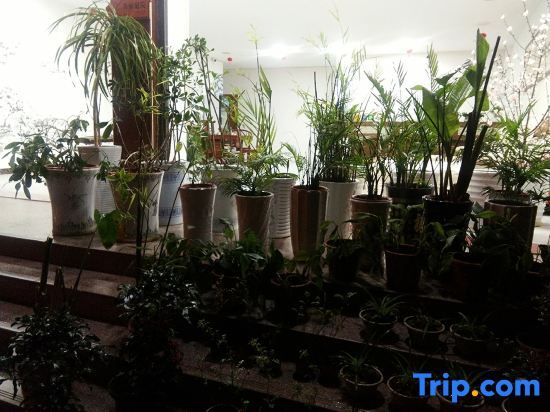 Цзиань: Jinggangshan Homestay