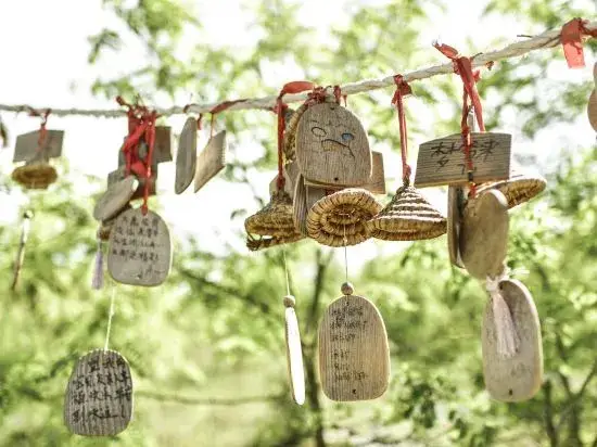 Чжанцзяцзе: Zhangjiajie Country Garden Zijinhuashe Hotel