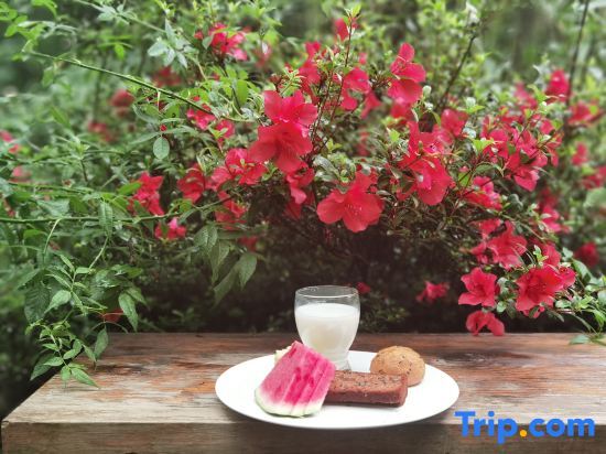 Чэнду: Minshuku Forest Hot Spring Guest House