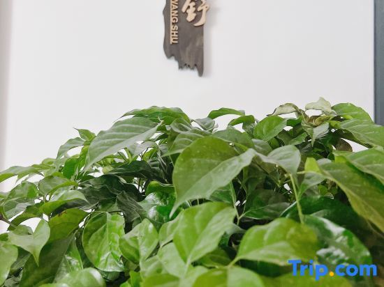 Пекин: Baihewan Yuguanlan Homestay