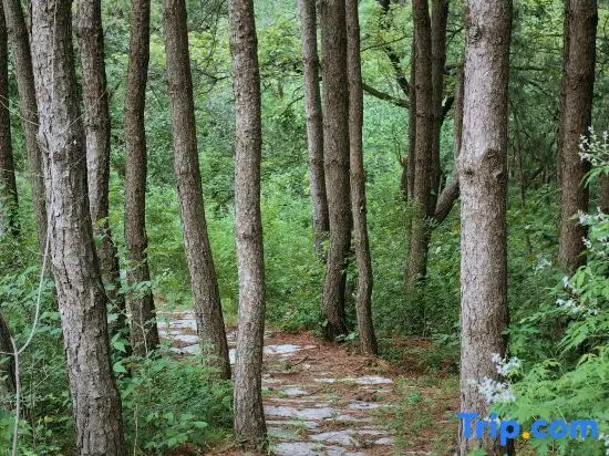 Пекин: You Lan UFun Camp