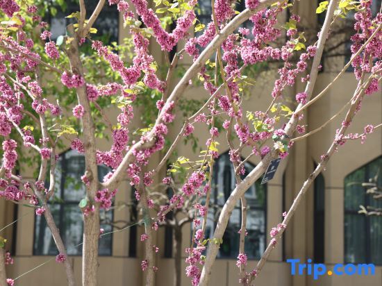 Пекин: Beijing Xinjiang Plaza Yingbin Building