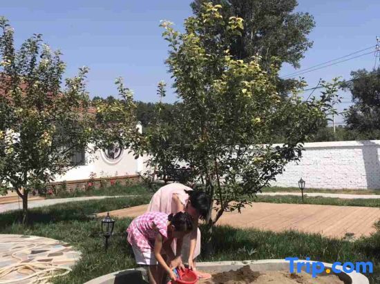 Пекин: Beijing Yifangyuan Homestay