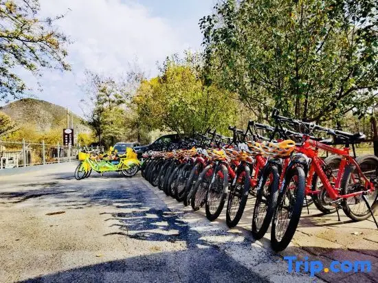Пекин: Beijing Paitu Qingquan farm