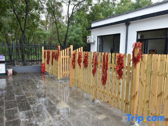 Пекин: Beijing Paitu Qingquan farm