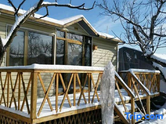 Пекин: Daniwaner Guesthouse