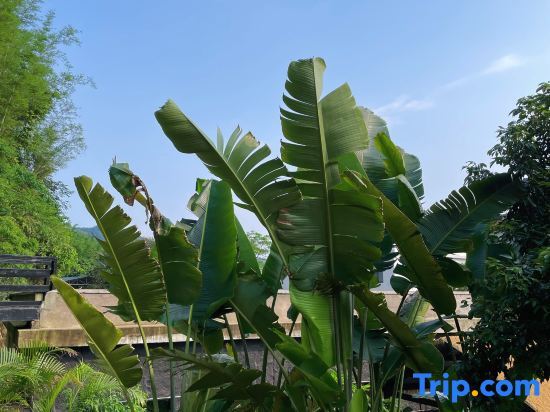 Гуанчжоу: Guangzhou Conghua Joyland Homestay