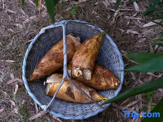 Ханчжоу: Anji Taoye Homestay