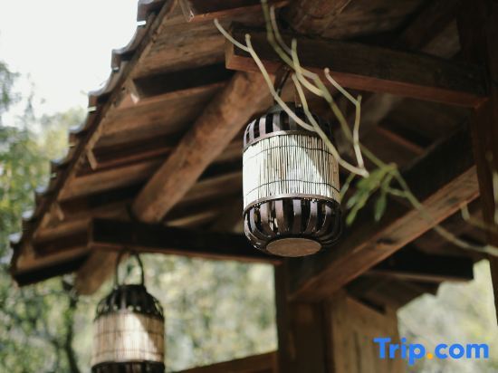Чэнду: Qingcheng Mountain is not staying. Jiuzhi Forest Private Tang Homestay