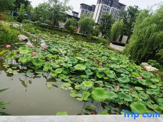 Сюйчжоу: Asakusa Holiday Inn