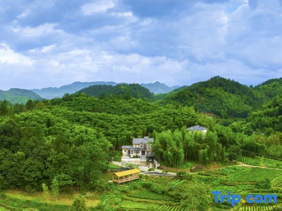 Хучжоу: Anji Lanyin Homestay