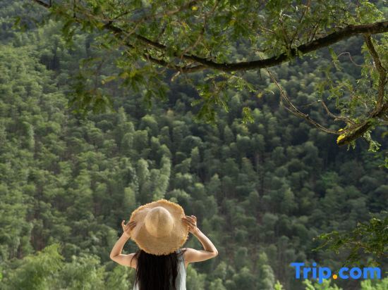 Хучжоу: Shiqiyi No.10 Yunye Wangshan Villa Hotel (Anji Shenxi Canyon Drifting Branch)