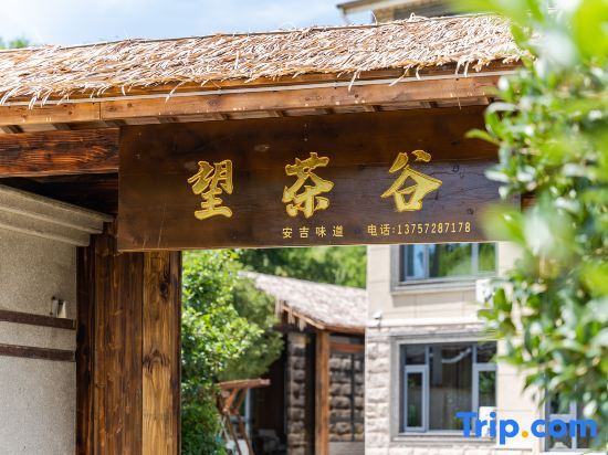 Wangchagu·Anji Chashan View Light Luxury Holiday Meishu — фото 1
