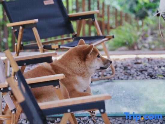 Чунцин: Yuanju Yuanchu Homestay