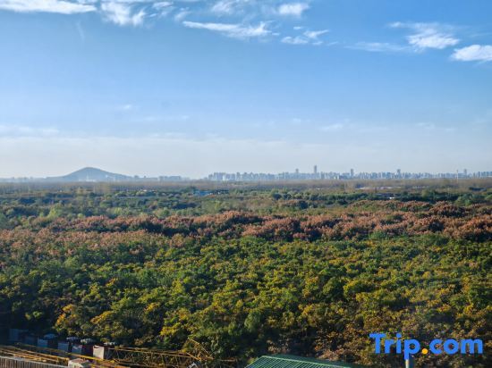 Хэфэй: Vienna International Hotel (Hefei Gangji Industrial Park)