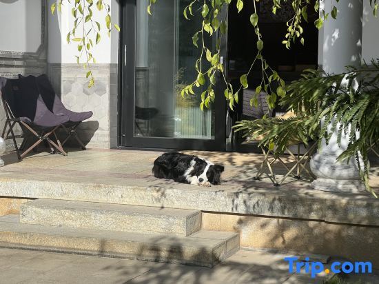 Дали: Dali Zhe 1995. Villa Designer Homestay (Erhai Caicun Branch)