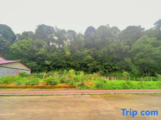 Цзиань: Jinggangshan Ciping Jinhonghua Homestay