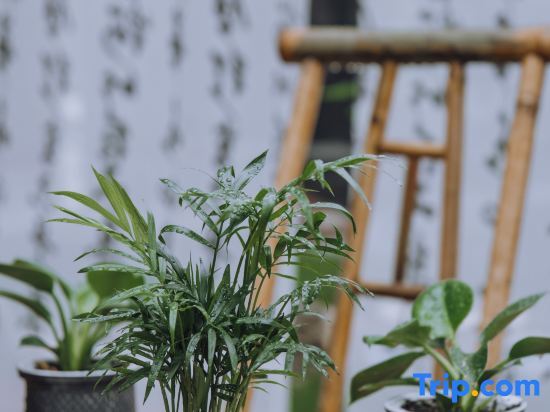 Сиань: Xi'an Baishiyunju Homestay (Qinling Wildlife Park Branch)