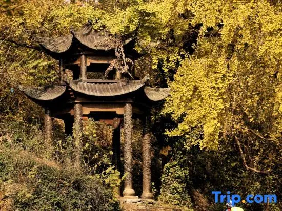 Суйчжоу: Suizhou Millennium Ginkgo Valley Twins·Youxing Homestay