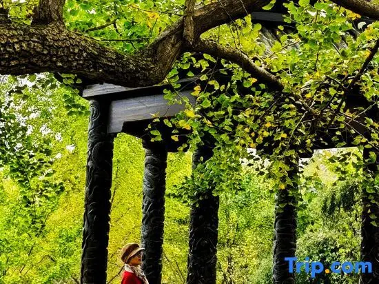 Суйчжоу: Suizhou Millennium Ginkgo Valley Twins·Youxing Homestay