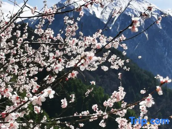 Гу'эргоу: Lixian Gu'ergou Xiangjia Yuzong Homestay