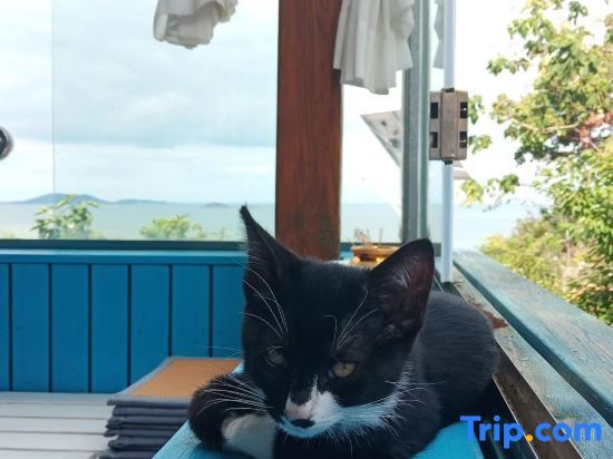 Циндао: Lushan Fengshe Homestay