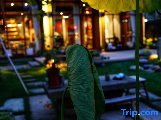 Ханчжоу: A Homestay in the Mountains