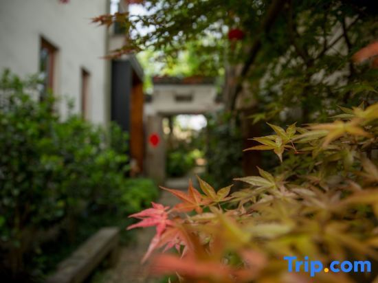 Ханчжоу: A Homestay in the Mountains