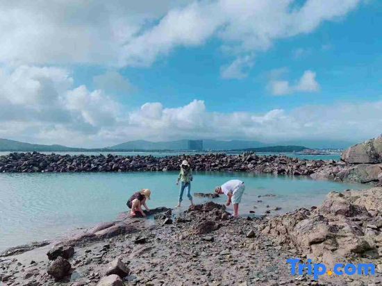 Жангжоу: Xiakeju Seaview Hostel