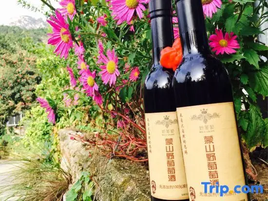 Линьи: Mengyin Yuyuan Homestay