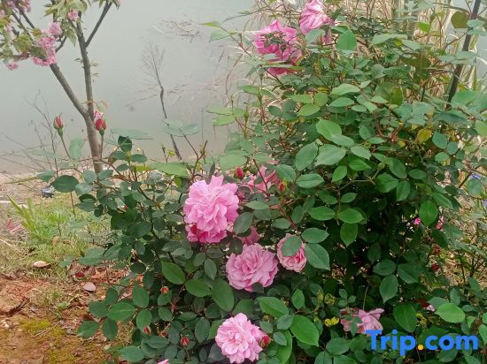 Хуанши: Xiandao Lake Daling Farmhouse