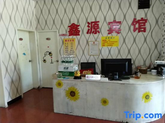 Shuyang Xinyuan Theme Apartment — фото 1