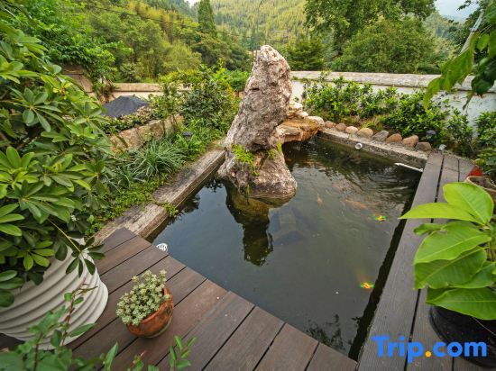Хучжоу: Anji Man Tun Ting Xin Shan Ye Xing Guang~Parent Child Vacation Homestay