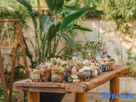 Гуанчжоу: Guangzhou 12 Flower Seasons Guesthouse