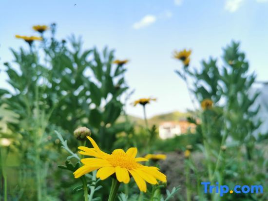 Xuancheng: Ningguo Wangjia Yayuan Homestay